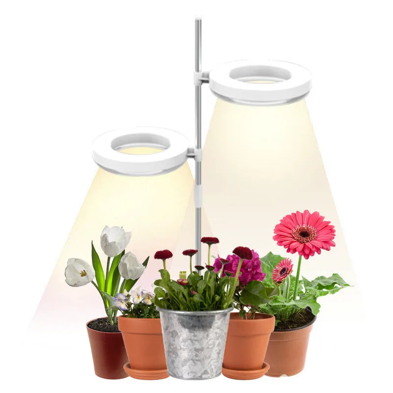 Desk plant growth lamp with full spectrum light and adjustable heads on a wooden surface.