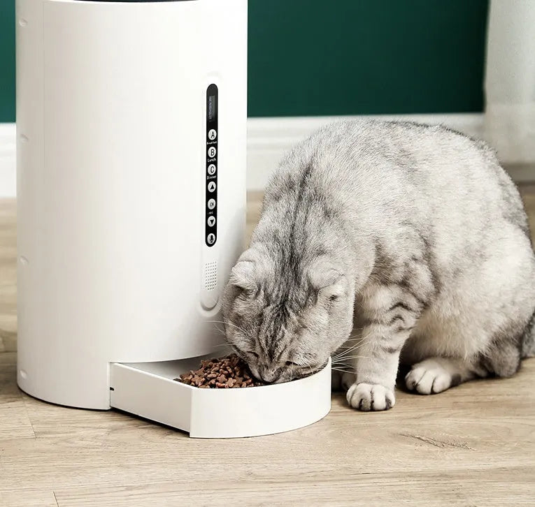 White automatic smart pet feeder with digital timer and large food hopper on a kitchen counter.