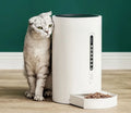 White automatic smart pet feeder with digital timer and large food hopper on a kitchen counter.