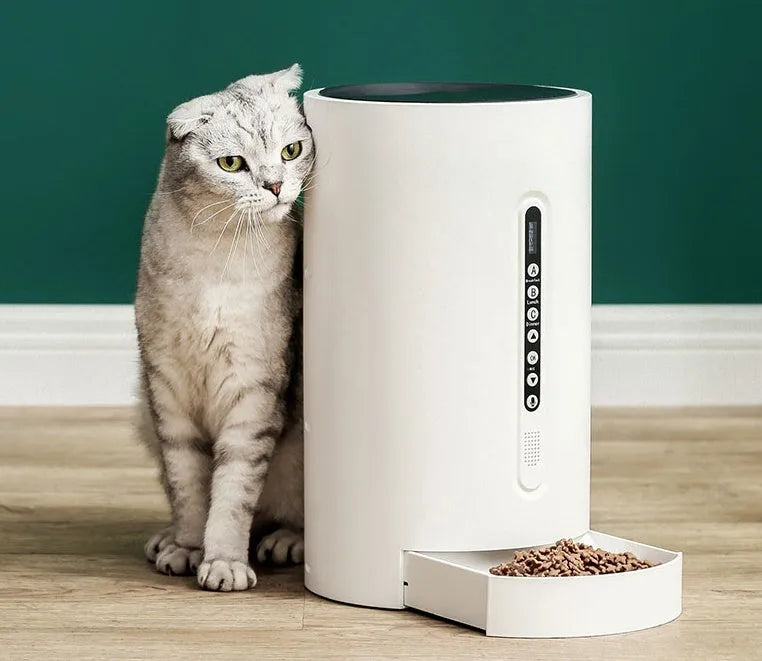 White automatic smart pet feeder with digital timer and large food hopper on a kitchen counter.