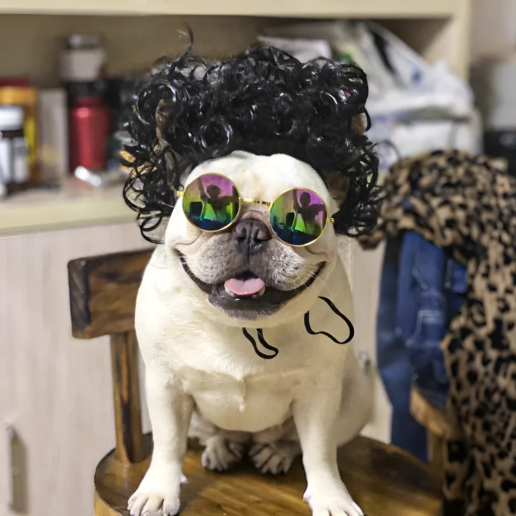 Adjustable pet wig headdress sheath in nylon fibre for 30-60cm head sizes, shown in Afro style
