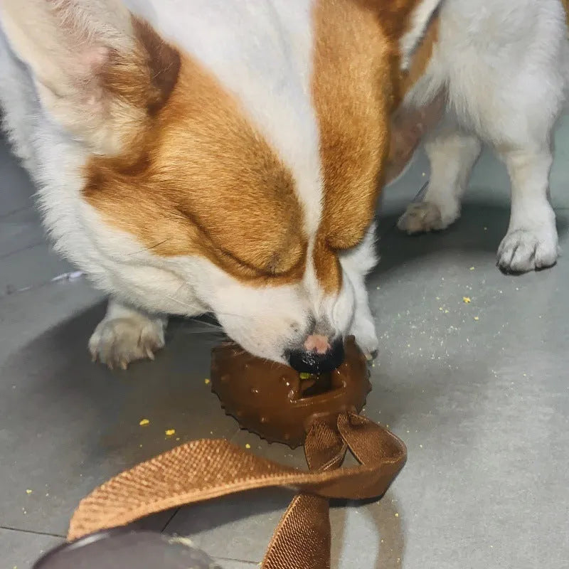 Coffee coloured, bean-shaped TPR dog chew toy with rope knots and a treat-holding cavity.
