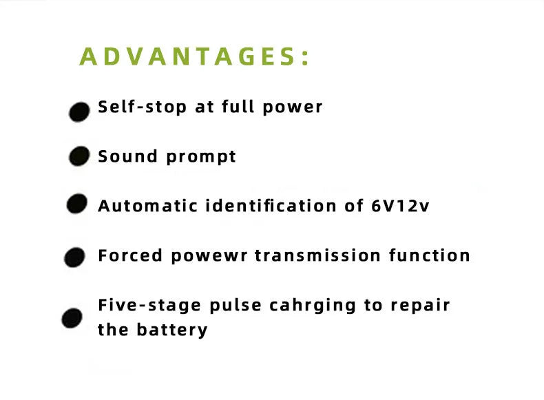 BT 168 manual car battery charger for 12V and 24V lead acid batteries