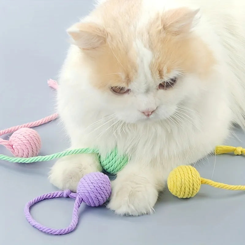 Colourful cat toy ball with rope attached and internal bell for kitten play stimulation