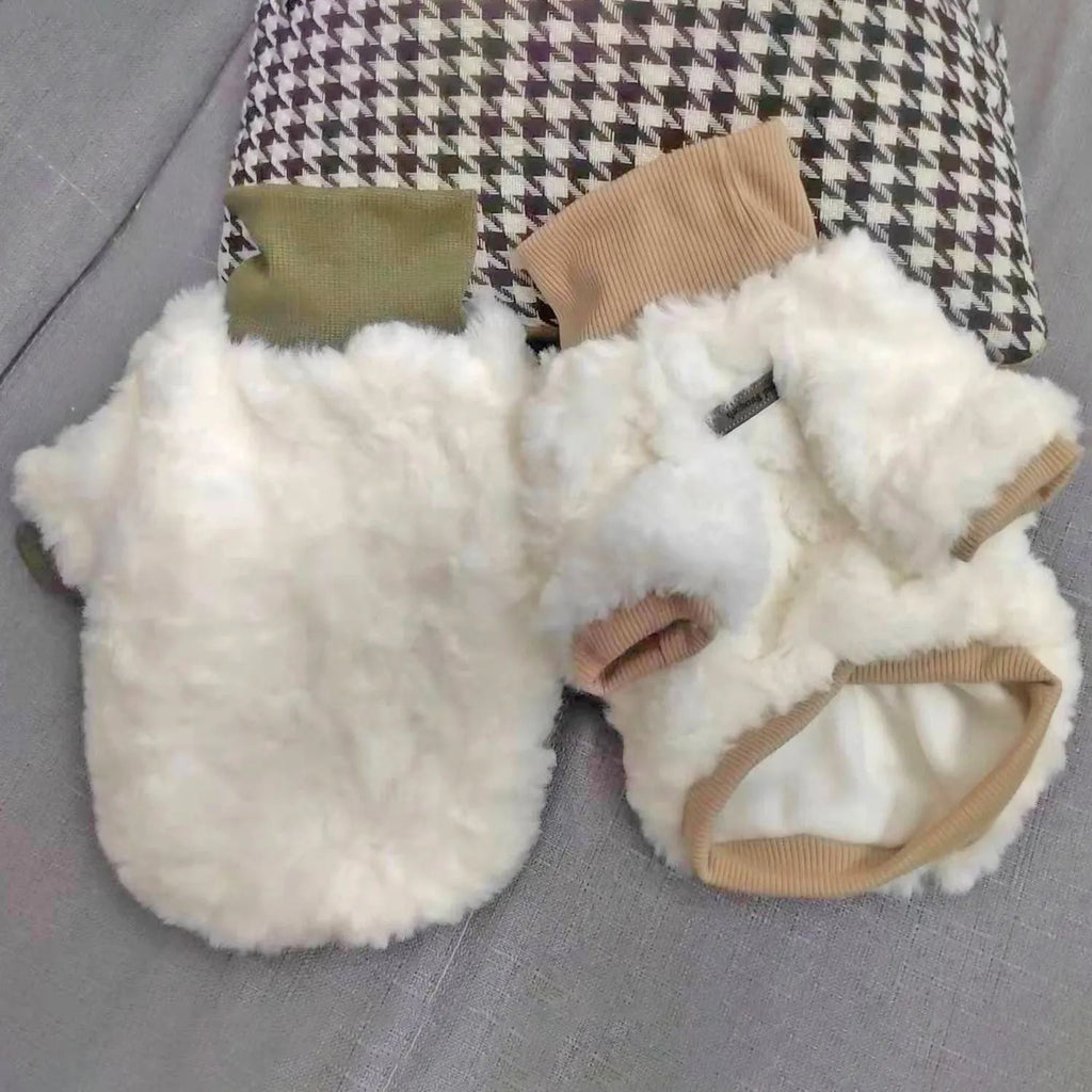 Creamy green plush turtleneck dog coat on a small dog, showing thick padding and high collar.