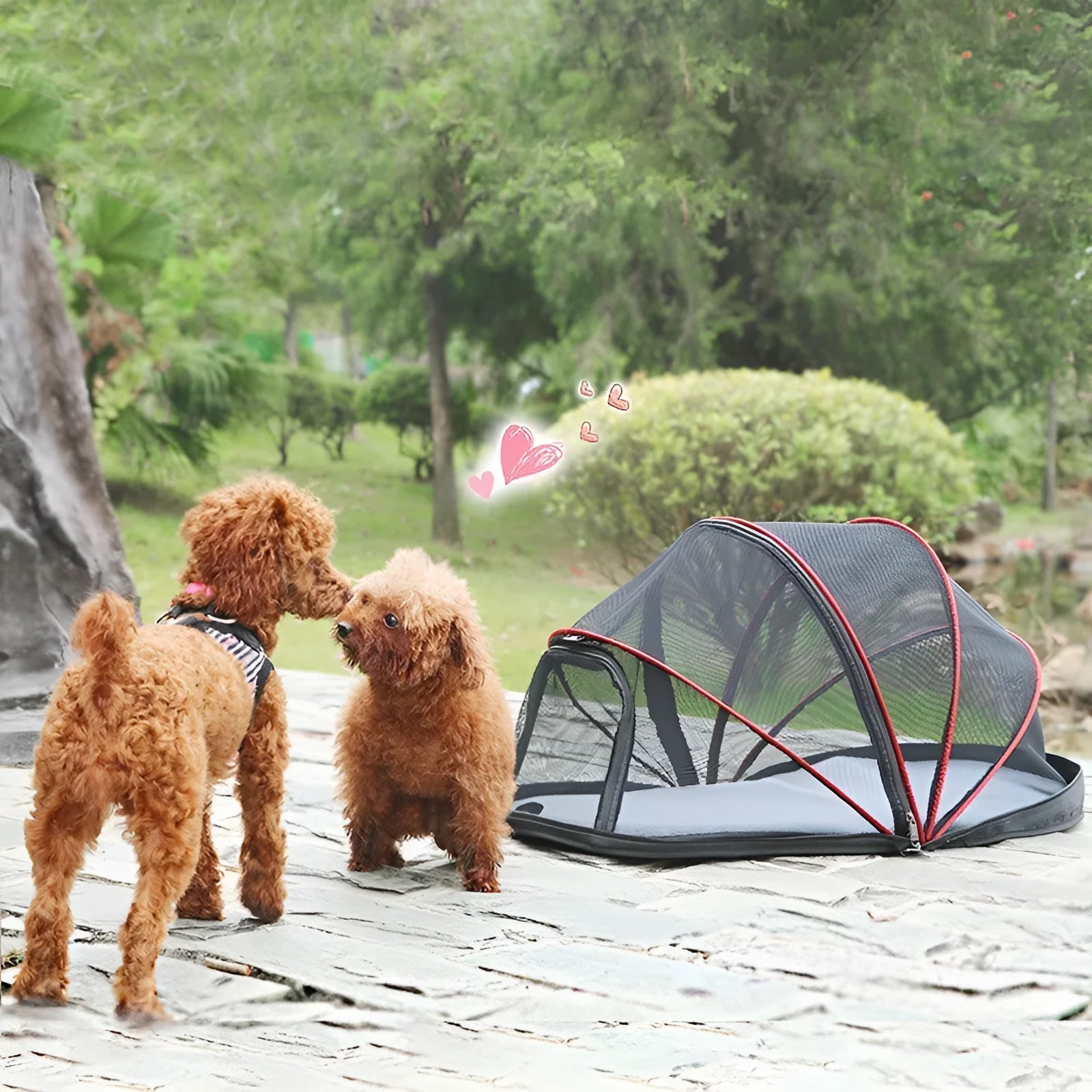 Folding cloth cat tent with half-mesh ventilation in black or blue colour options