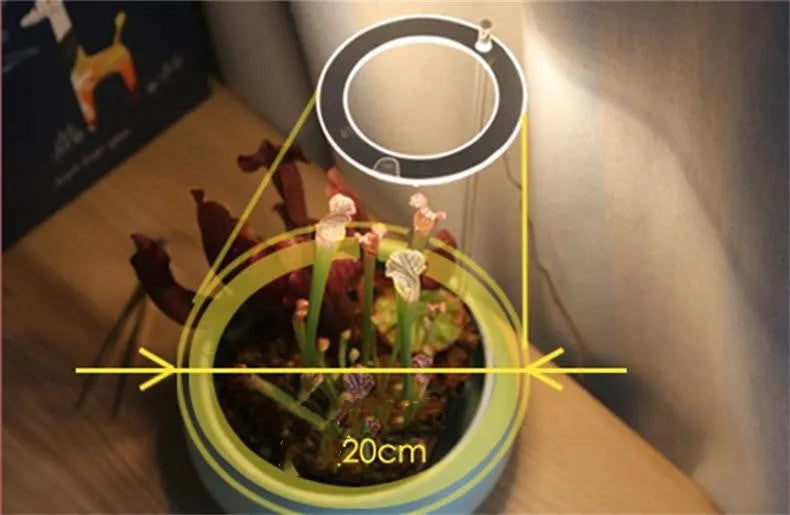 USB-powered LED plant growth light with full spectrum illumination and acrylic stick holder