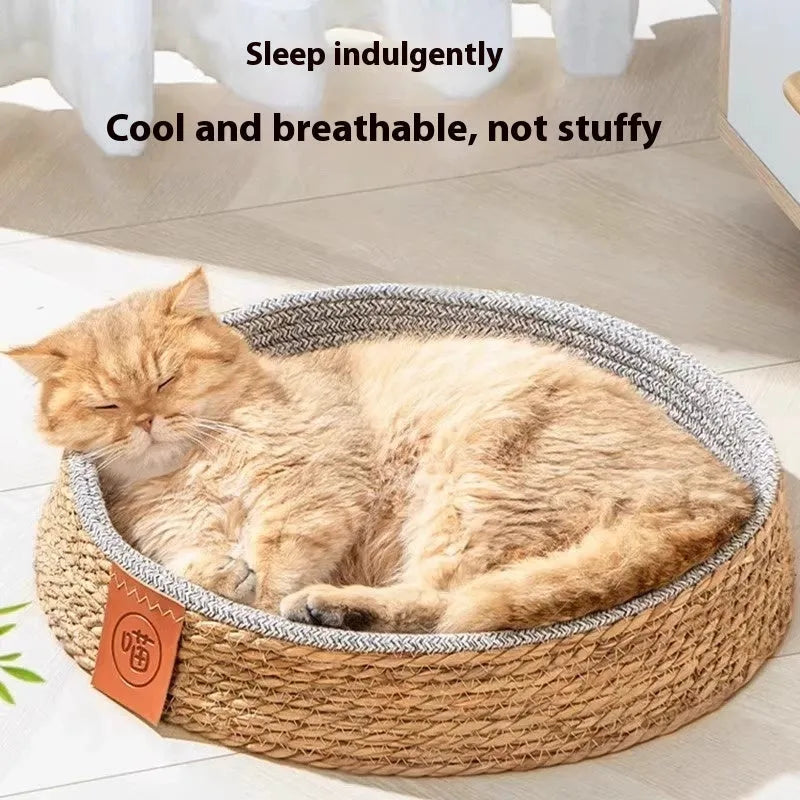 A rattan woven cat nest bed in a cage style, shown in a size suitable for a medium cat.
