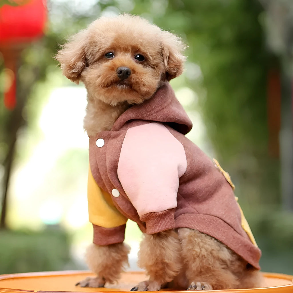 Brown cotton dog sweatshirt shown with green and pink colour options, sizes XS to 2XL