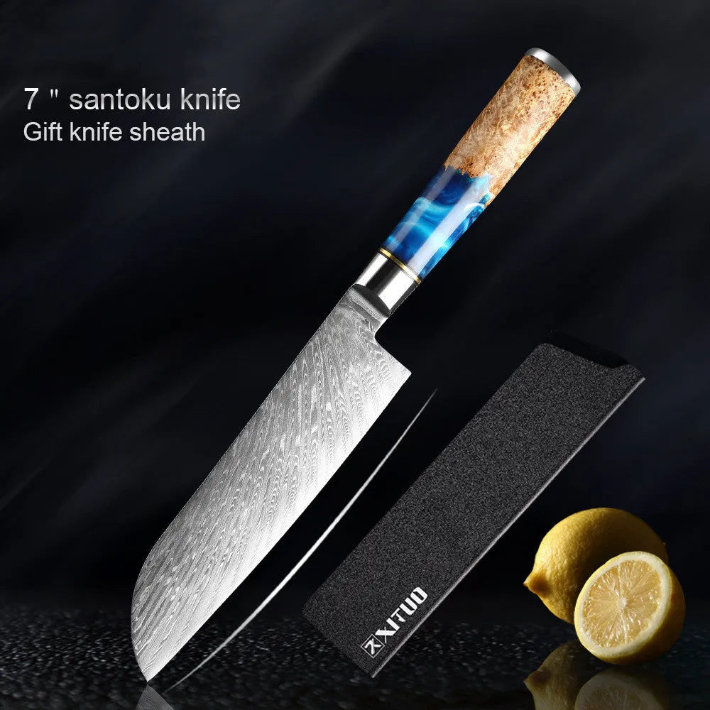 Japanese VG10 Damascus steel kitchen knife set with coloured wood and resin handle.