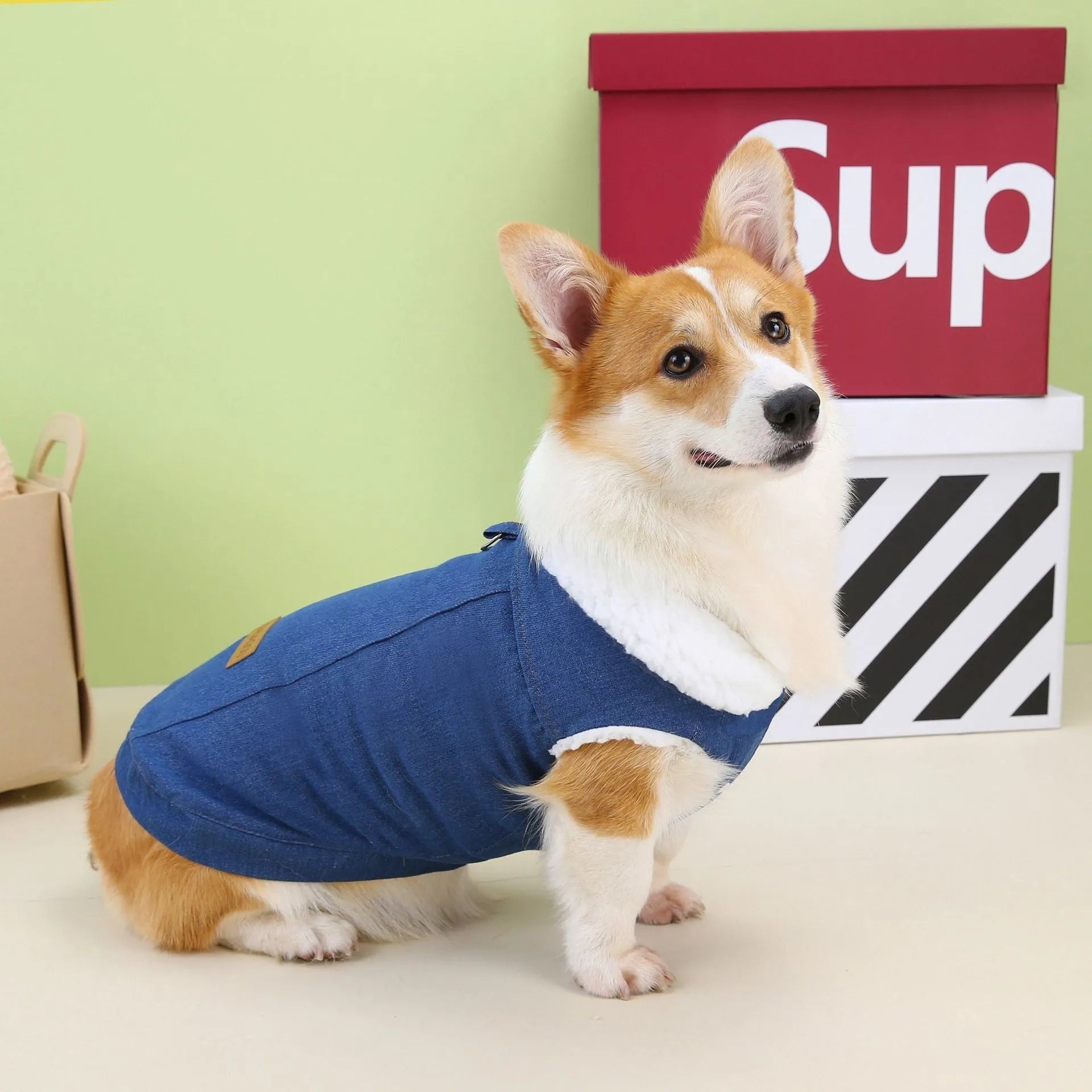 Blue denim cotton dog coat on a model, showing dark and light colour options for various dog sizes.