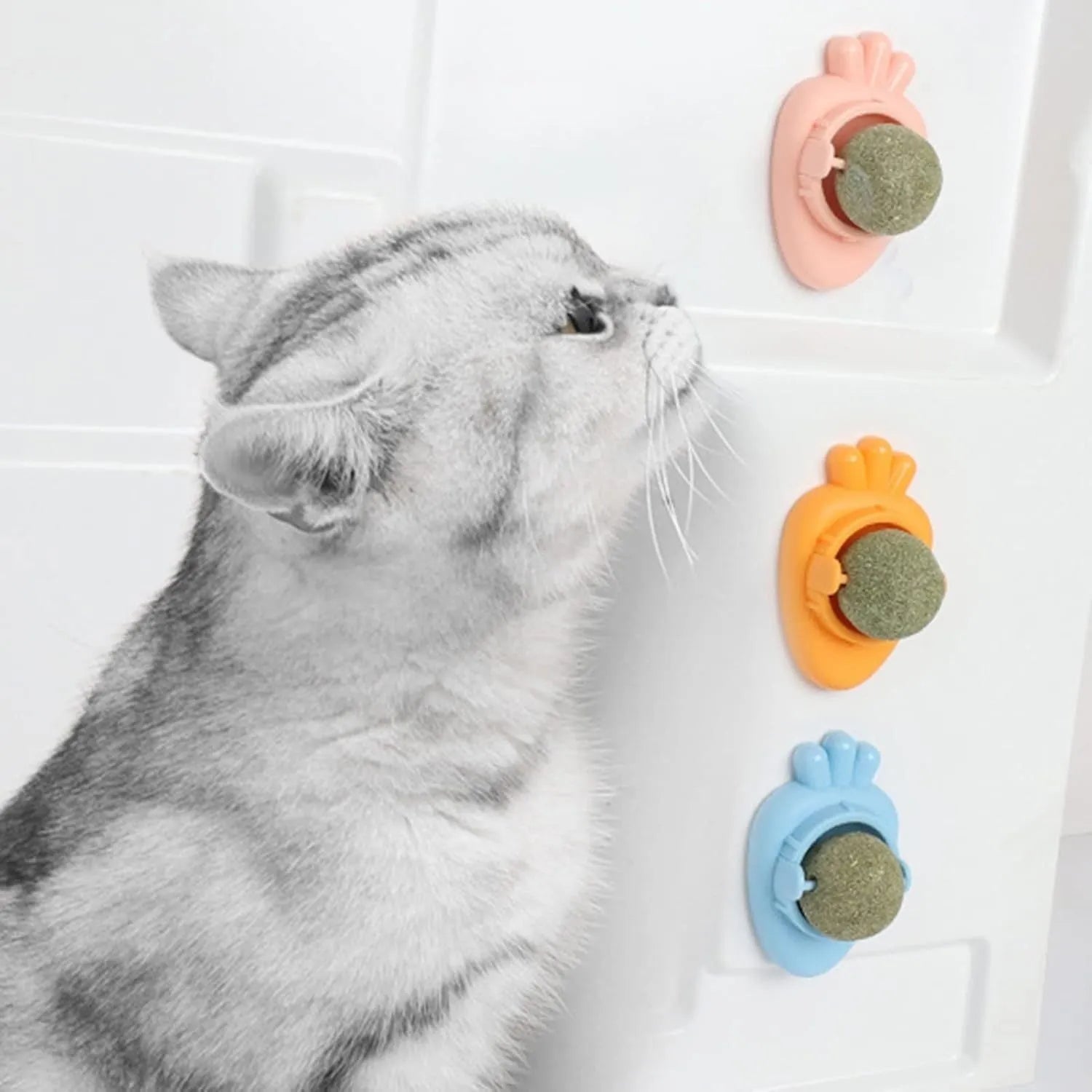 Blue carrot-shaped catnip ball with self-adhesive sticker for wall mounting and cat dental cleaning