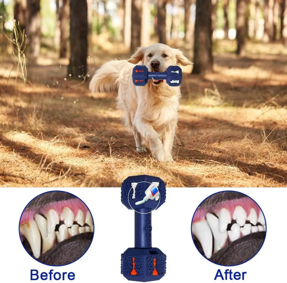 Durable dumbbell-shaped dog chew toy with textured surface and hollow ends for treats in black or blue