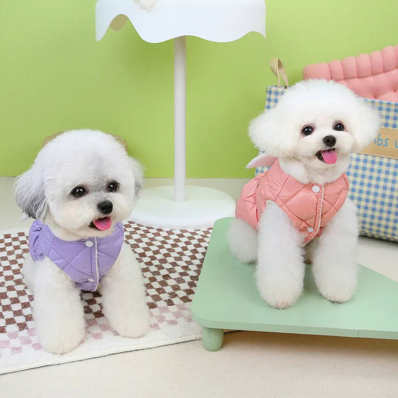 Small dog wearing pink angel design skirt with adjustable belly strap