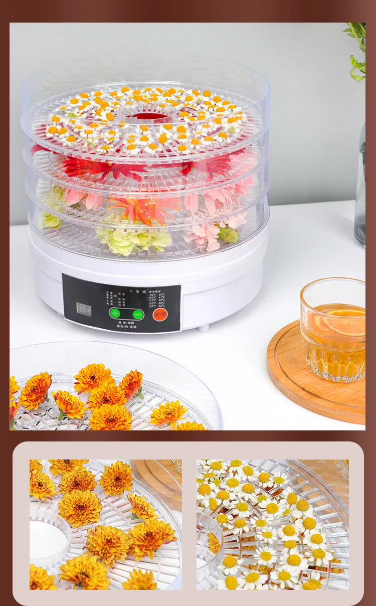 Five-tray household fruit dehydrator with clear door and adjustable temperature control