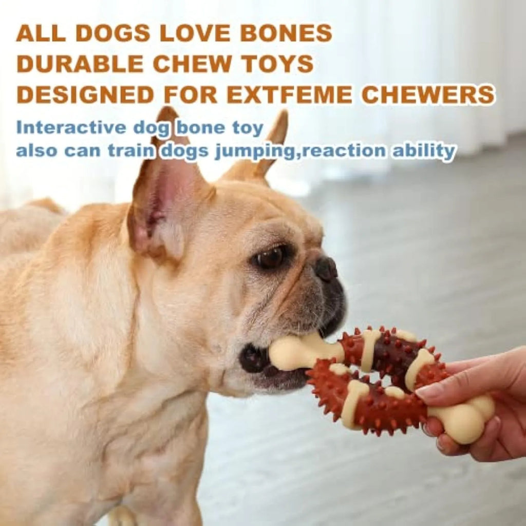 Natural rubber bone-shaped pet molar chew toy for dogs in two sizes