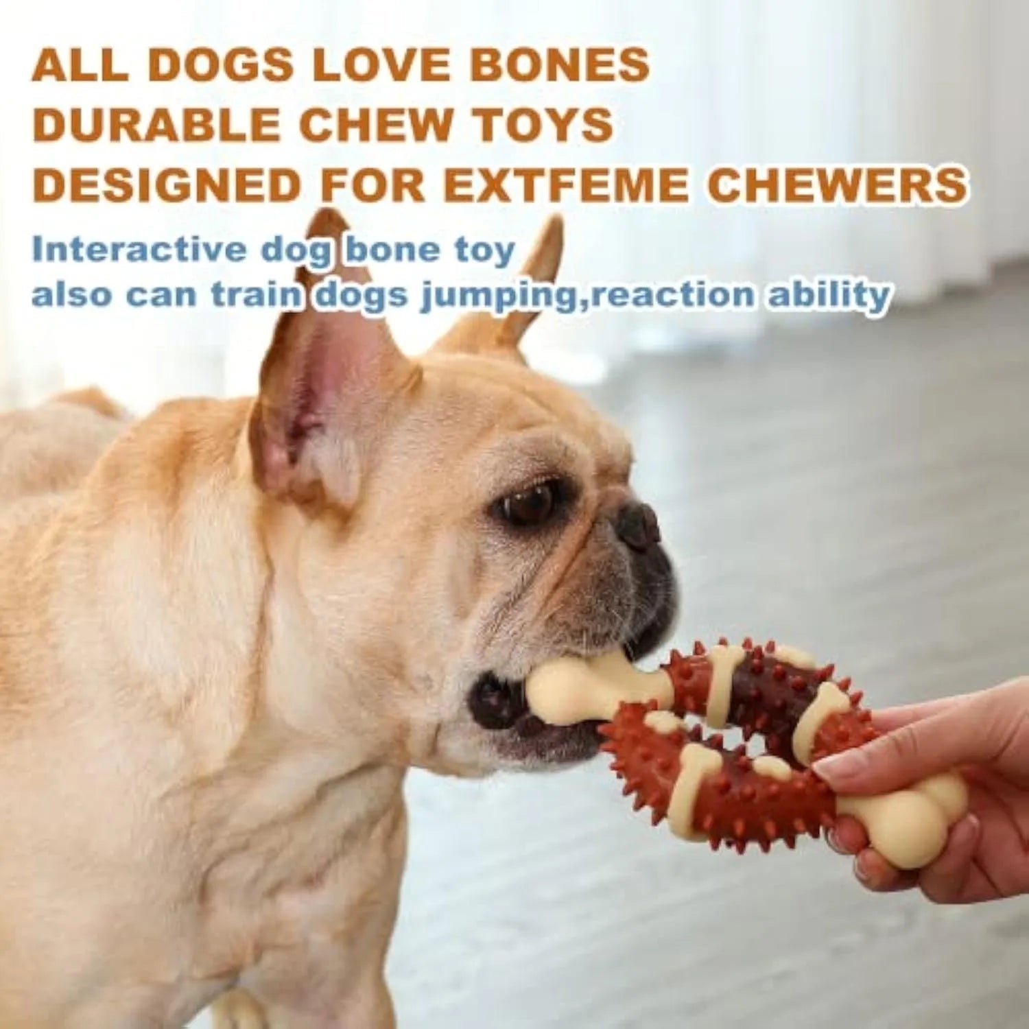 Natural rubber bone-shaped pet molar chew toy for dogs in two sizes