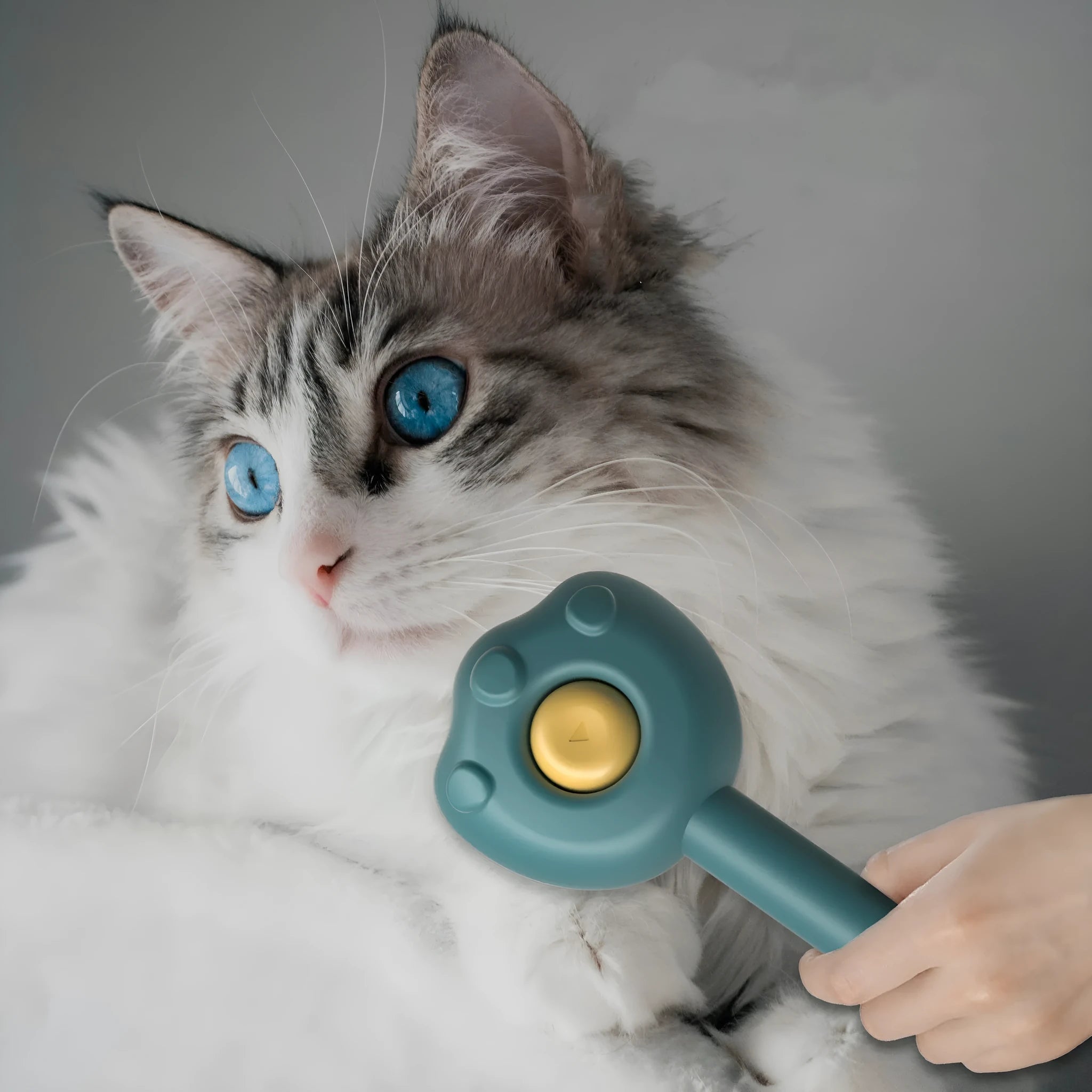 Blue plastic cat grooming comb with retractable needle teeth and a cute handle on a white background