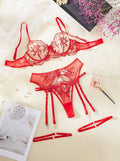 Women's embroidered underwear set with see-through lace panel and cutout design in three colour options