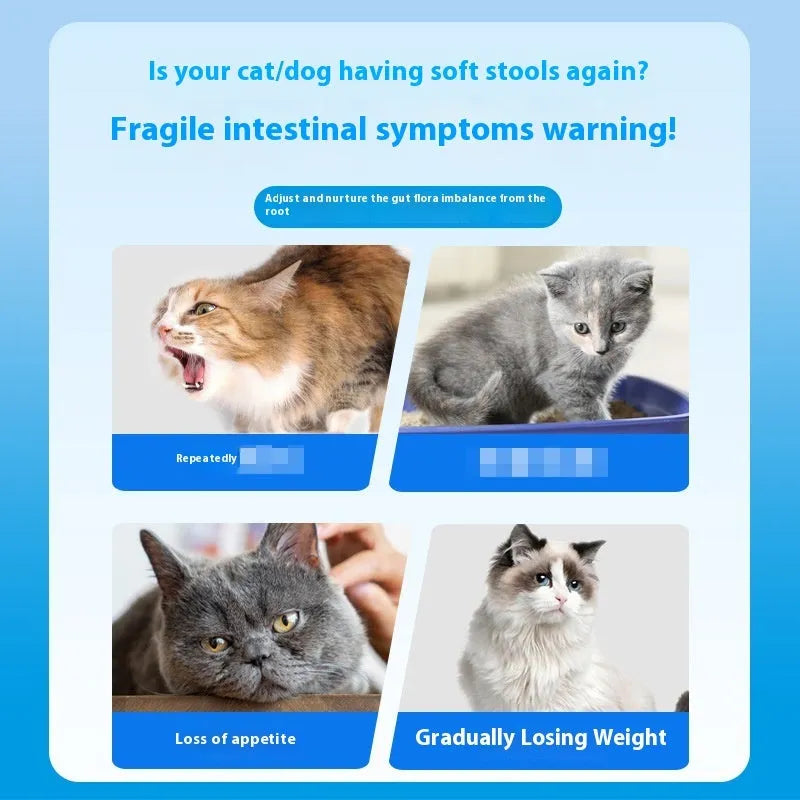 Bottle of 180 pet probiotic tablets for dog and cat digestive health.