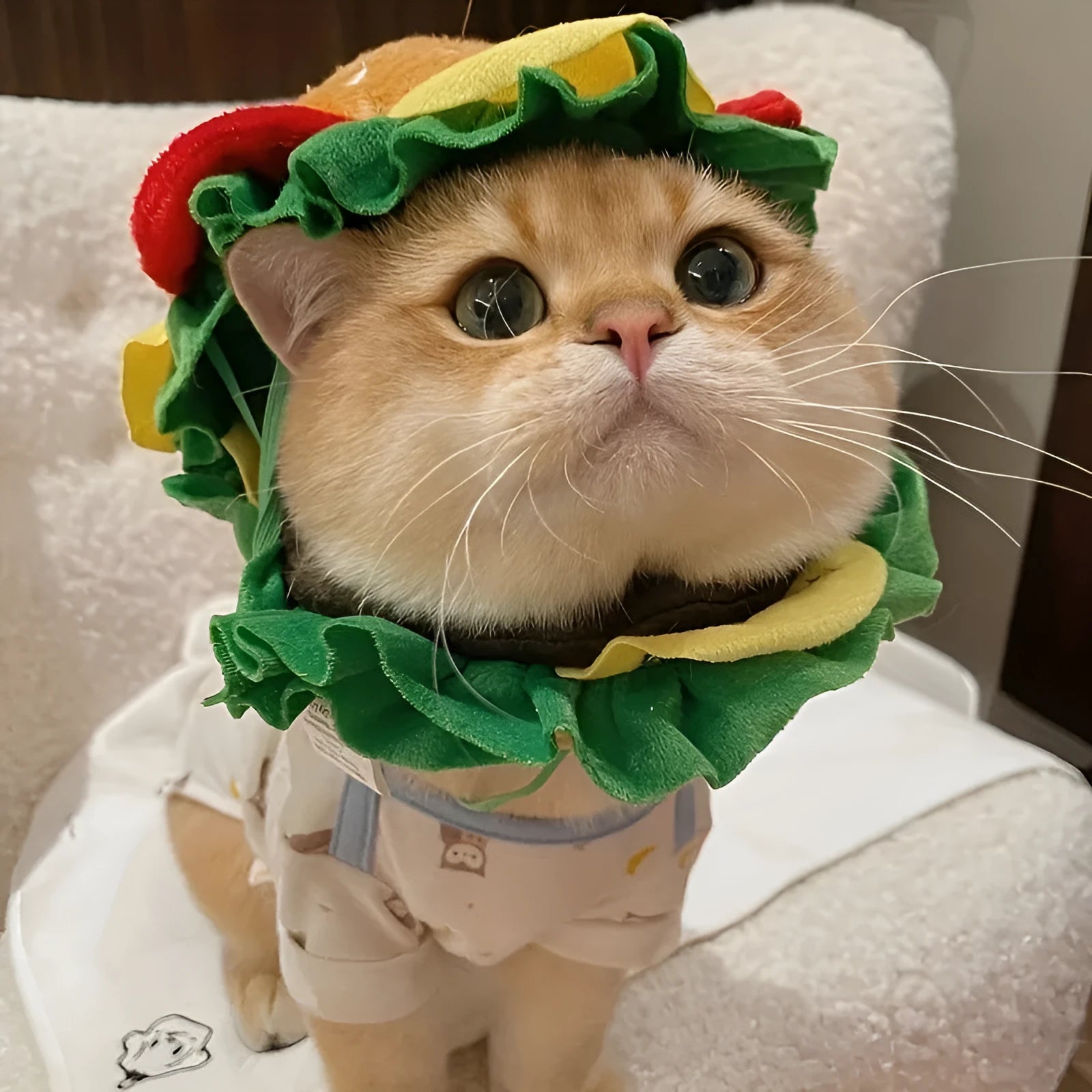 Cat wearing burger bun headdress collar with adjustable strap