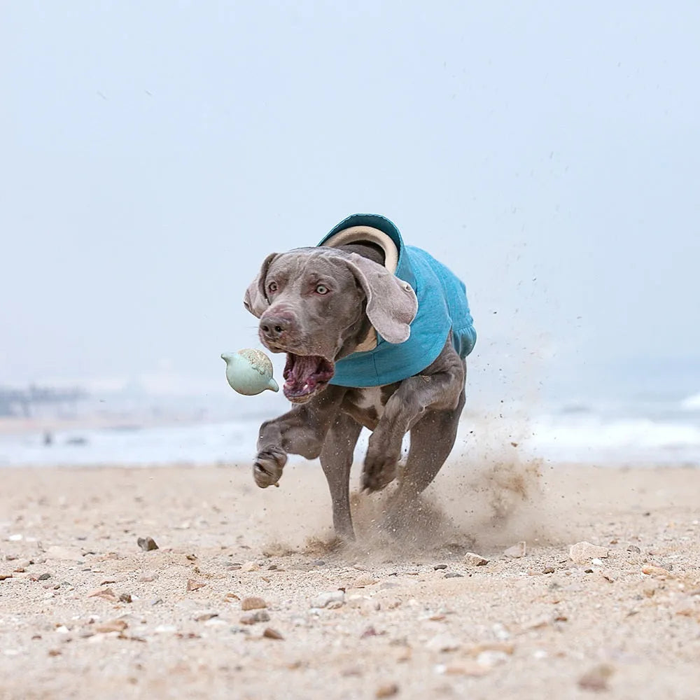 Grey polyester dog vest for a medium large breed on a white background.