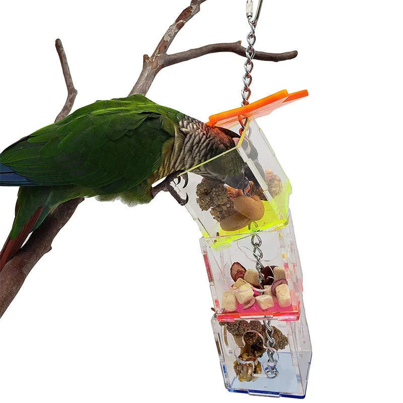 Clear acrylic bird foraging device measuring 5x5x32cm for parrot enrichment