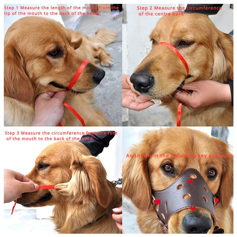 Black dog muzzle on a golden retriever showing size and fit