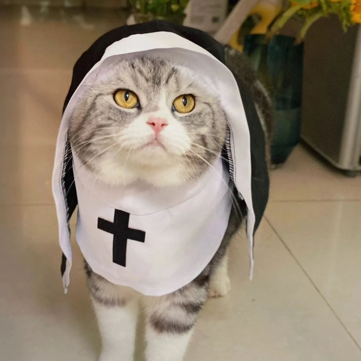 Black and white nun costume for small or medium dog with cloak design