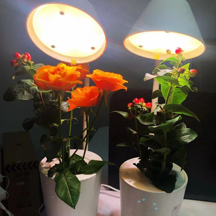 White desktop hydroponic container for soilless plant cultivation