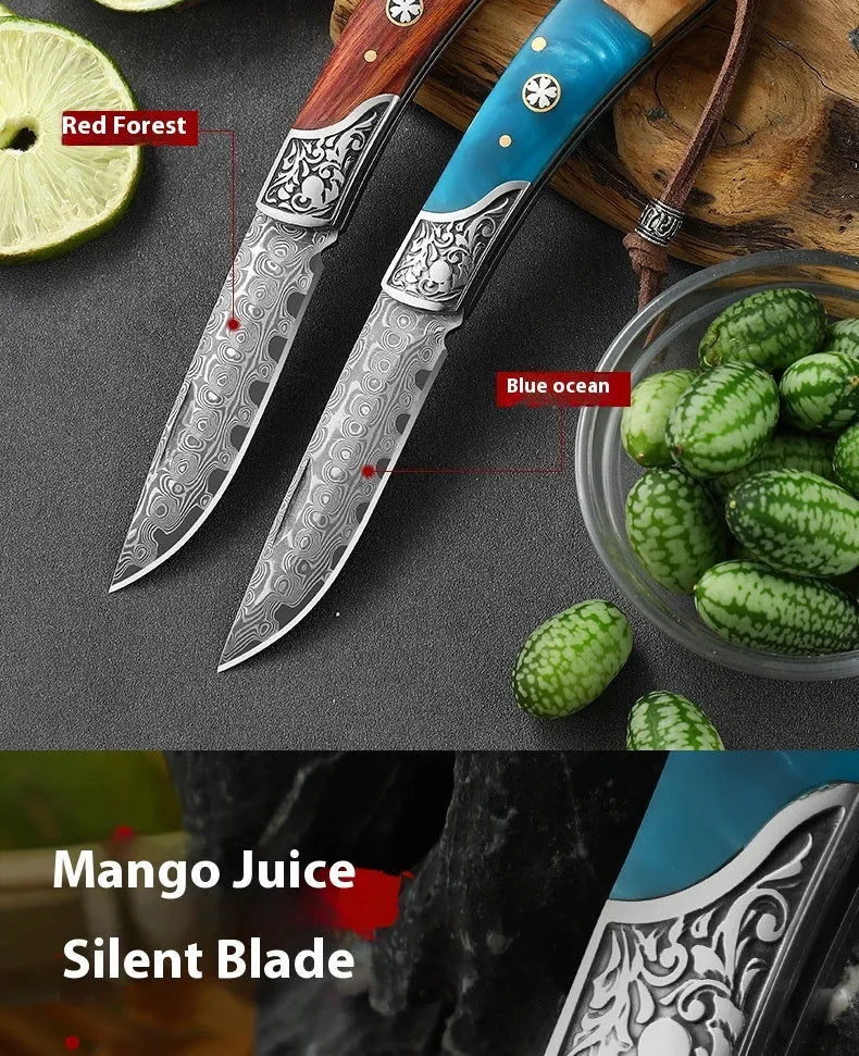 VG10 stainless steel folding pocket knife with dovetail locking mechanism in blue or red colour options