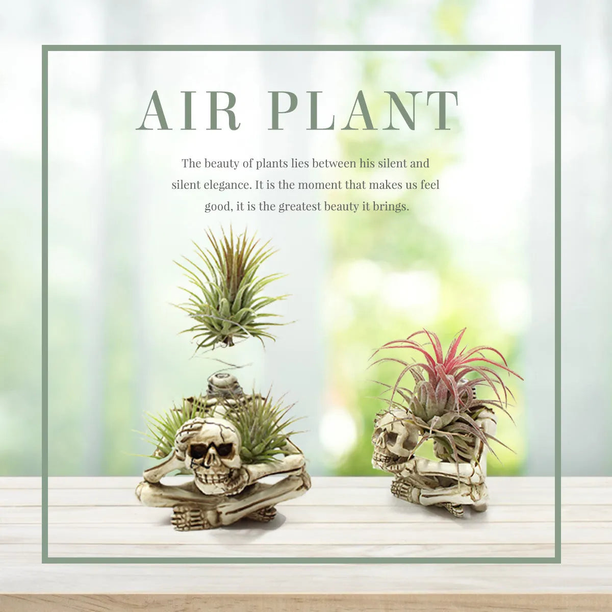 Gothic style resin skull air plant bracket with iron mounting base for tillandsia display