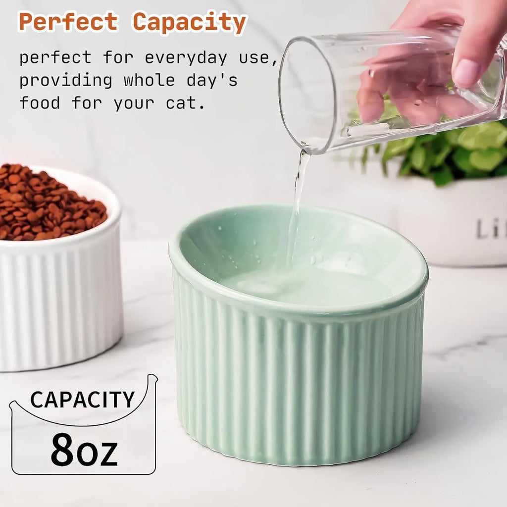 Ceramic elevated cat bowl in light green colour, showing its raised height and round, whisker-friendly shape.
