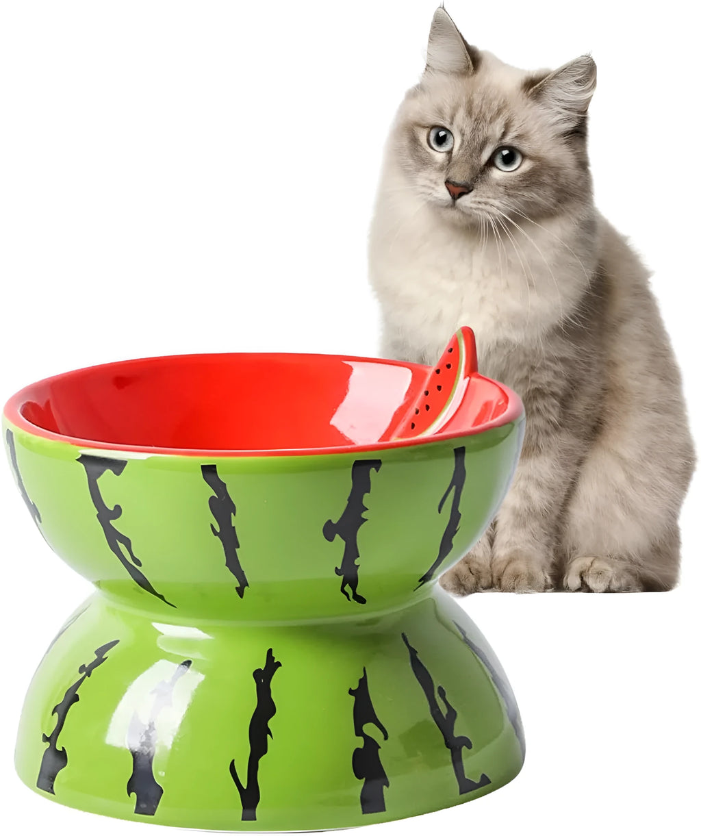White ceramic raised cat bowl with tilted wide dish and decorative pattern, shown on a table.