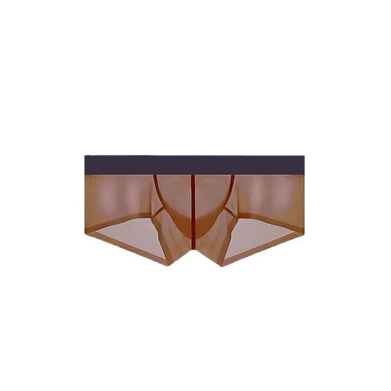 Men's ice silk seamless ultra-thin sheer low waist underwear in nylon fabric