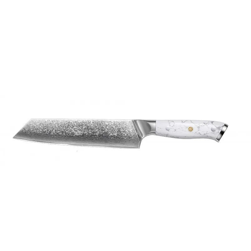 Damascus steel kitchen knife with 21cm VG10 blade and modern simple design