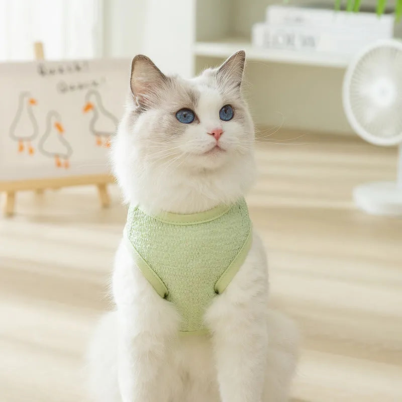 Breathable knitted cat costume with bear patch in blue, green, or yellow colours