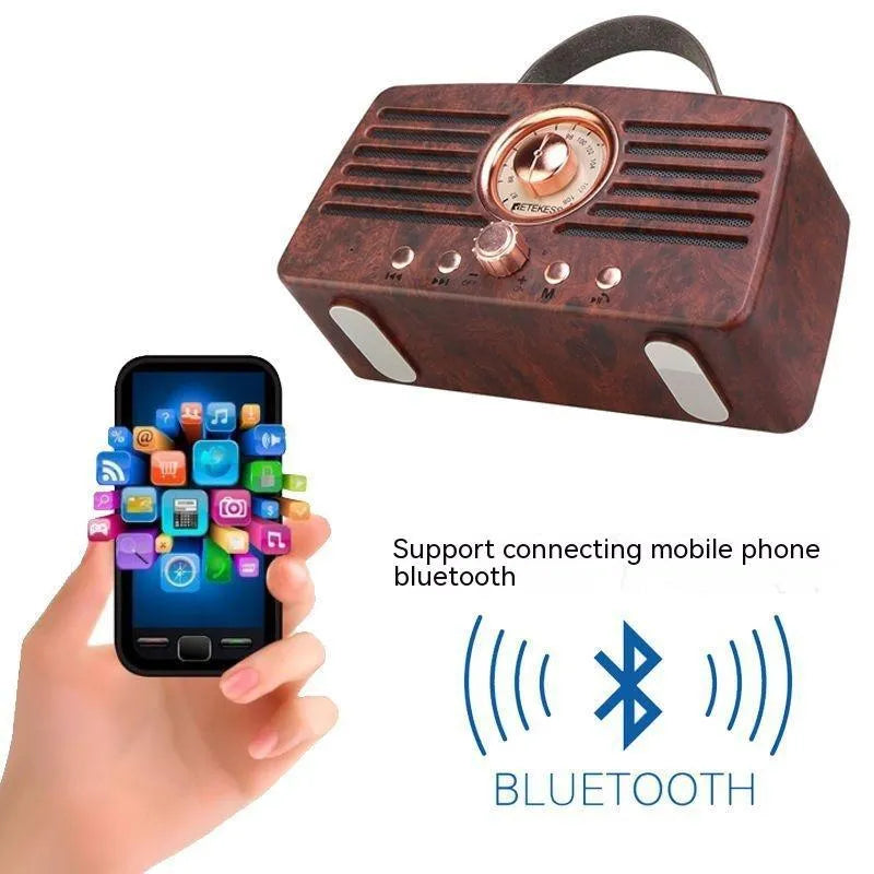 Portable rechargeable stereo dual channel radio with pointer tuning, USB interface, and built-in speaker, 190x95x67mm