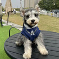 Blue and grey-white slim-fitting pet hoodie with reflective letters for cats and dogs