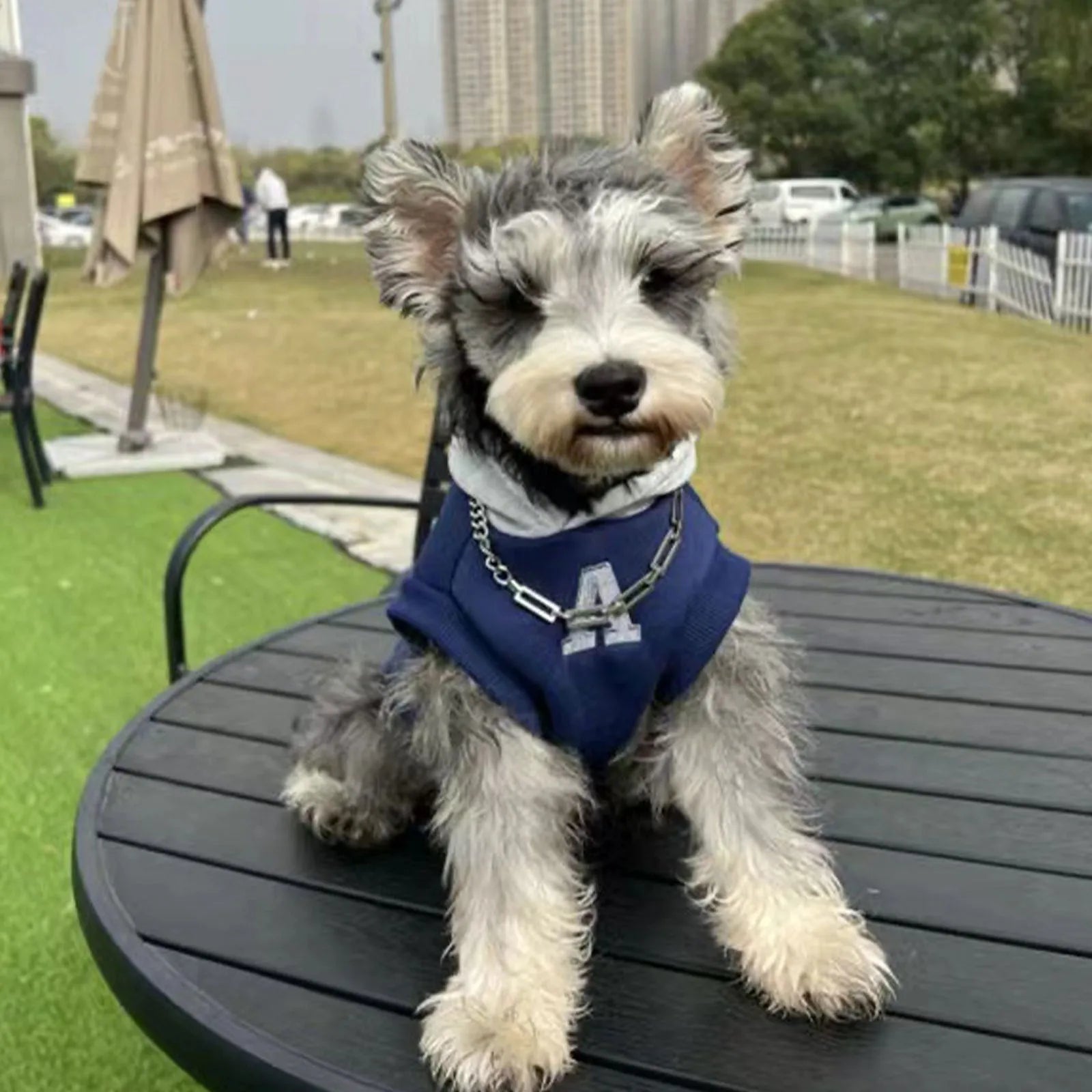 Blue and grey-white slim-fitting pet hoodie with reflective letters for cats and dogs