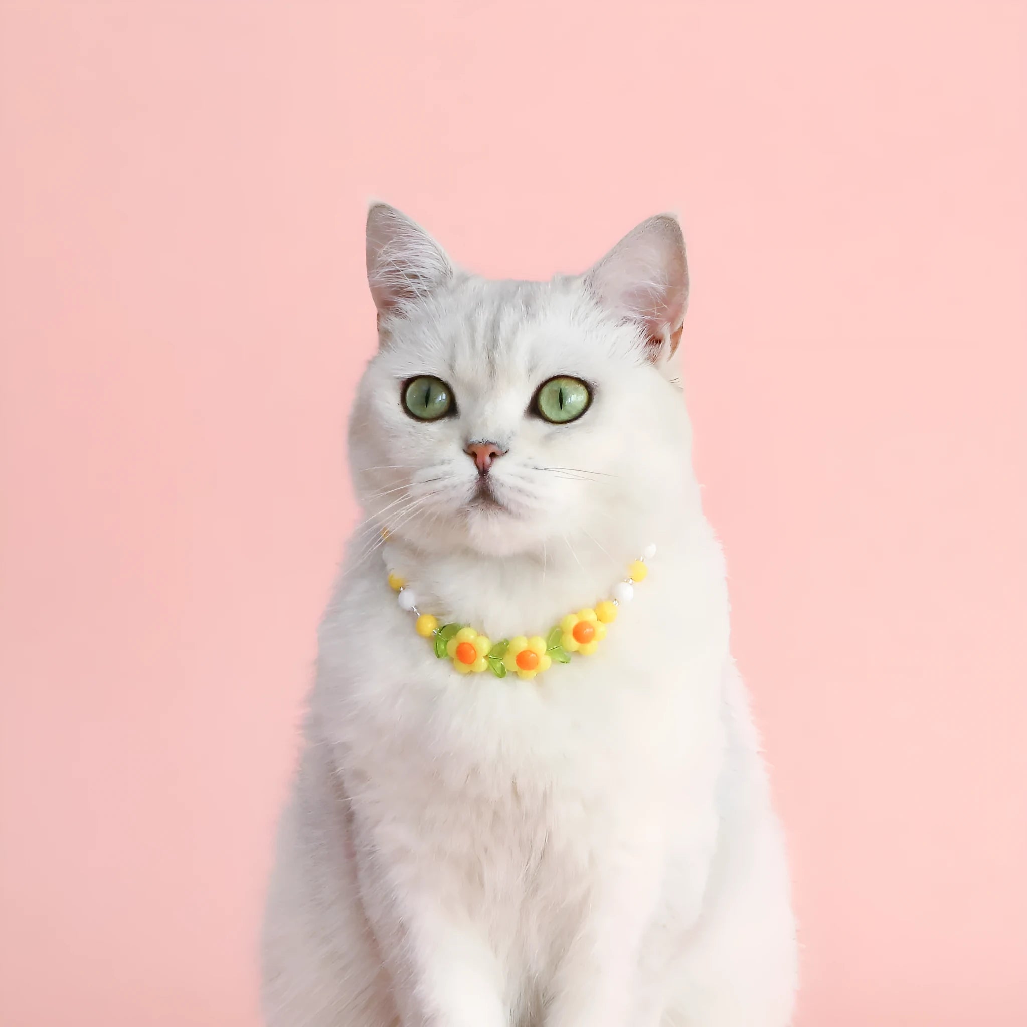 Colourful plastic cat necklace with bead patterns in rainbow, peach or small flower designs on adjustable 15-35cm collar