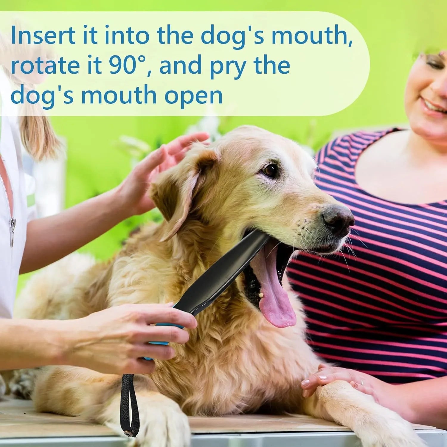 Blue-handled nylon dog break stick training tool, 35cm long, for small and medium dog bite prevention.