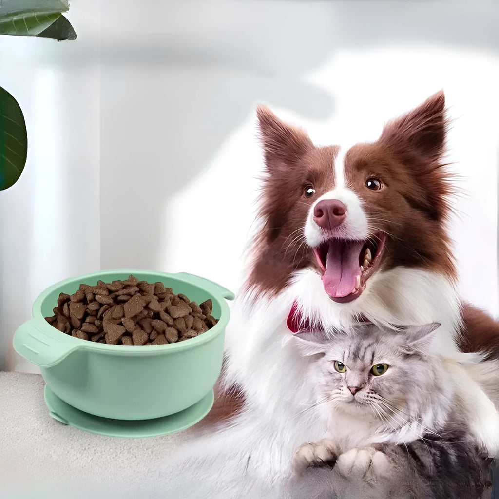 Silicone pet watering bowl with attached suction cups in a choice of five colours.