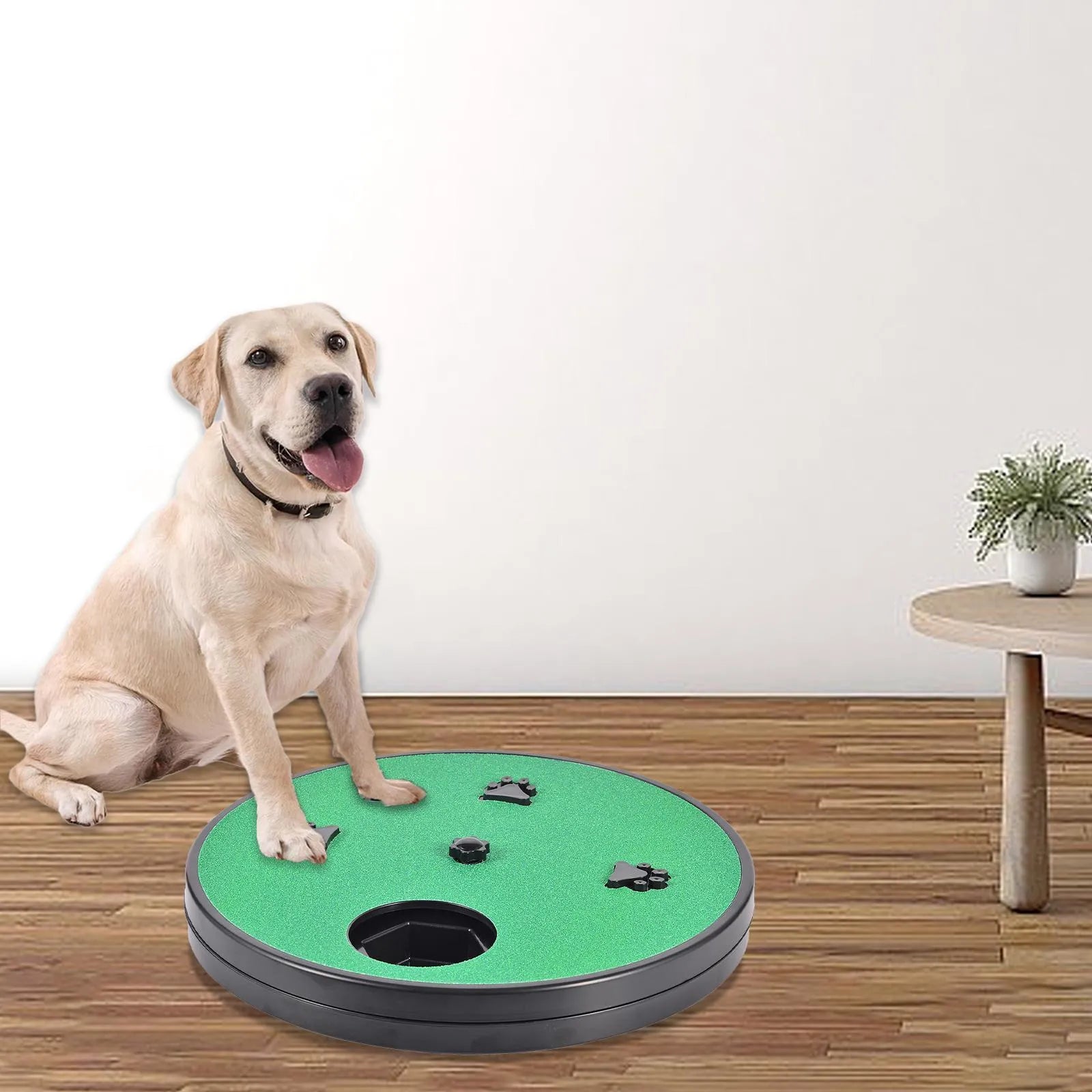 Rotatable dog nail file board with slow feeder compartments and suction cup base in choice of colours