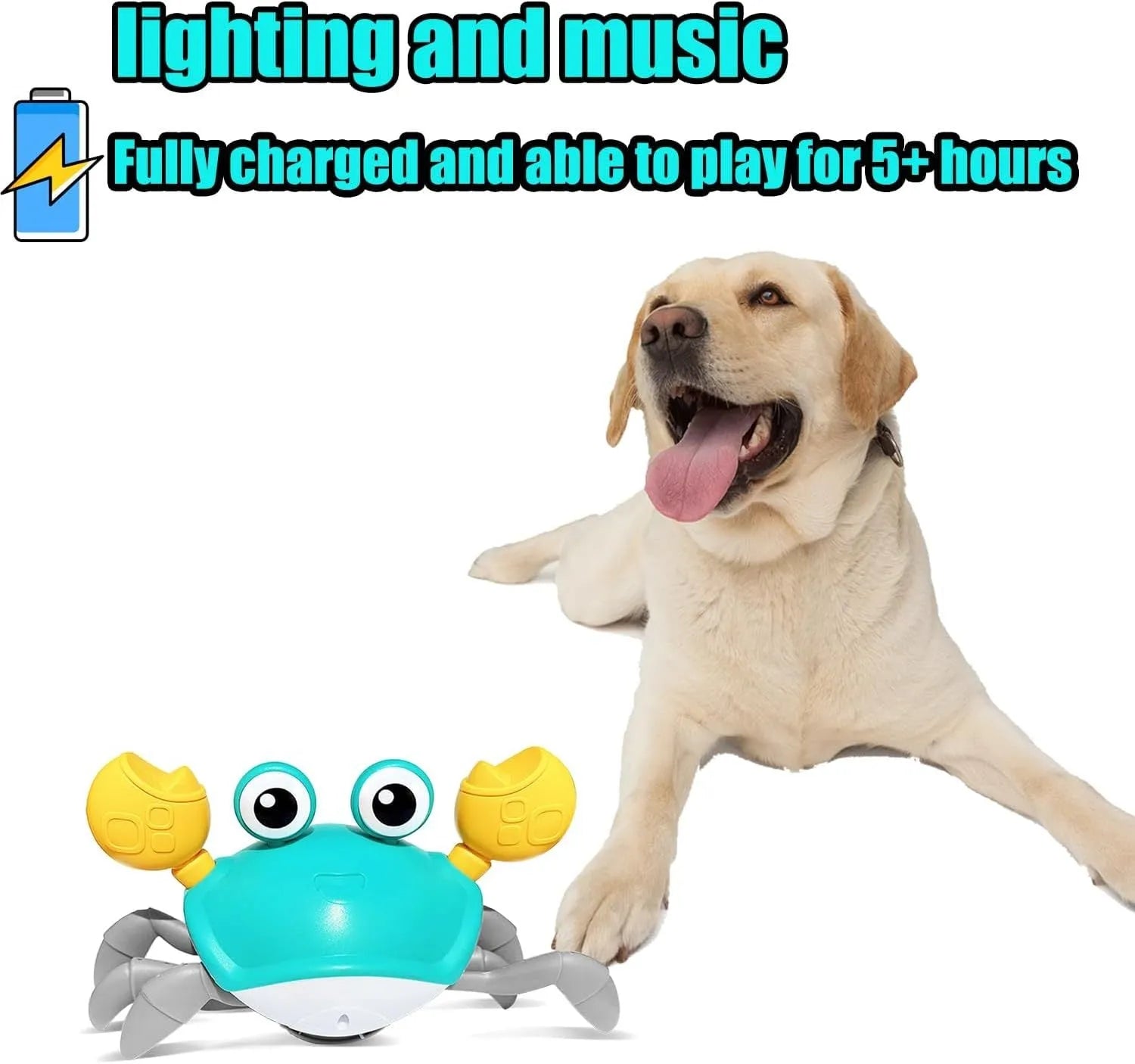 Blue or red electronic crawling crab dog toy with lights, shown moving on a floor.