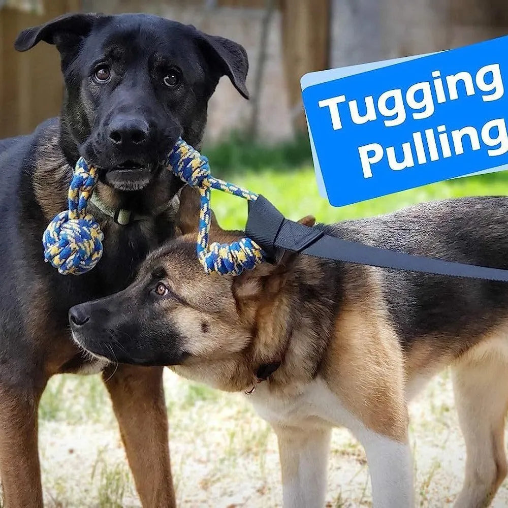 Green cotton dog tug rope toy with four design variations for tug of war play