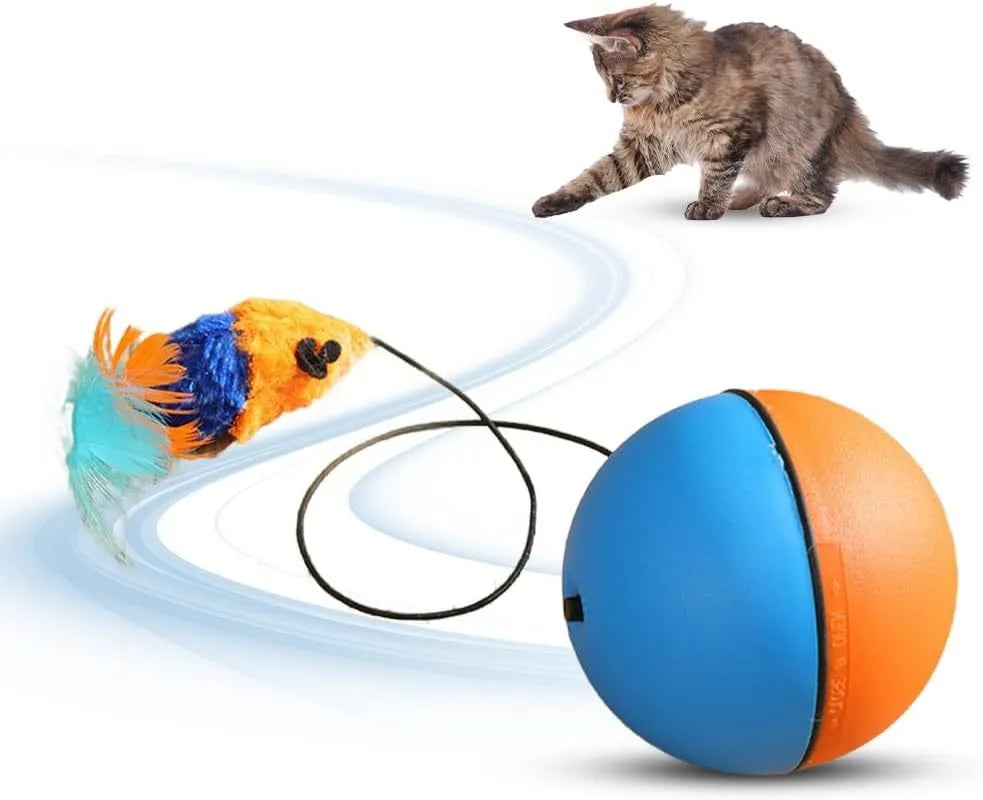 Automatic rolling interactive cat ball toy in grey and blue orange colour options