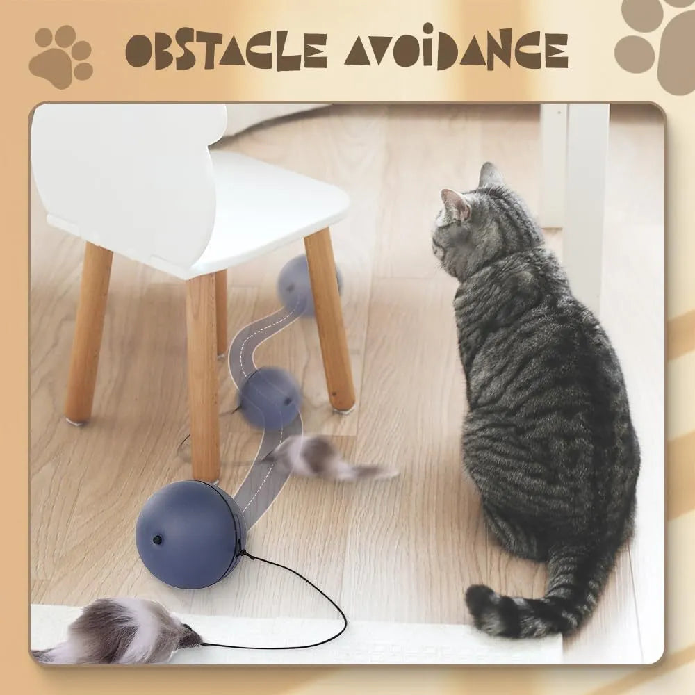 Automatic rolling interactive cat ball toy in grey and blue orange colour options