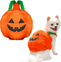 Orange plush pumpkin Halloween costume for a small dog, showing pullover design and soft texture.