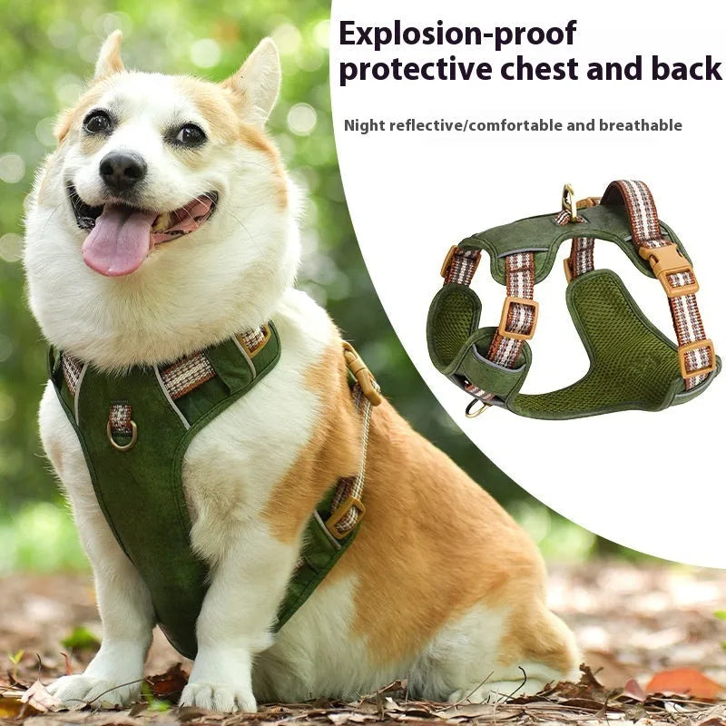 Retro-style brown leather pet harness with reflective strips on a dog.